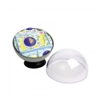 Plant Cell Model
